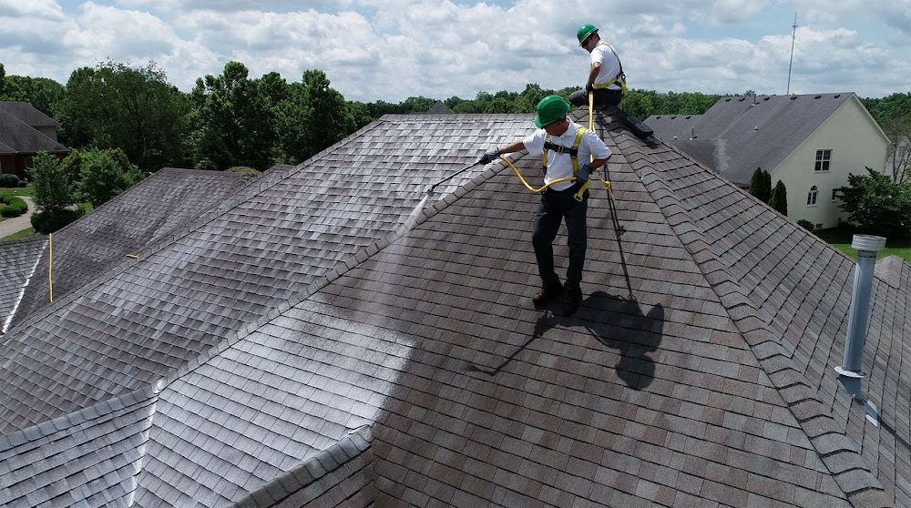 Affordable Green Roofing