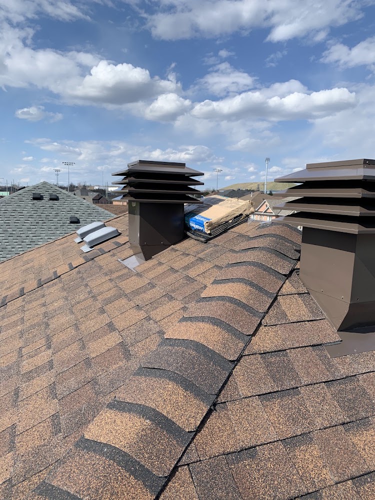 The Roof Technician