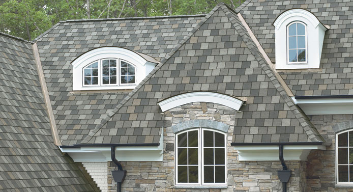 Elmdale Roofing