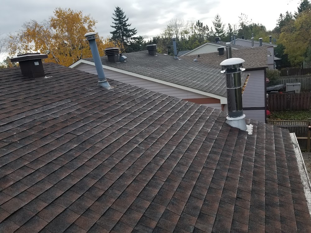 Go Roofing, Reno and Repair Inc.