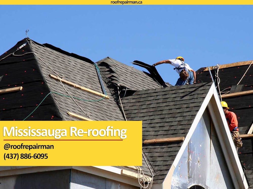 Roof Repair Man