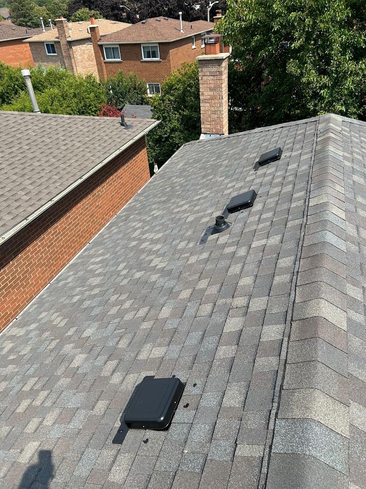 Birdeye Roofing Experts