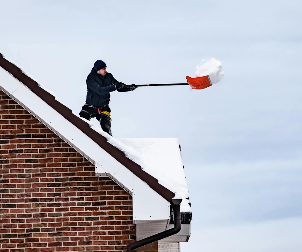 The Cedar Cleaners | Roof & Siding Cleaning, Repair, Replacing
