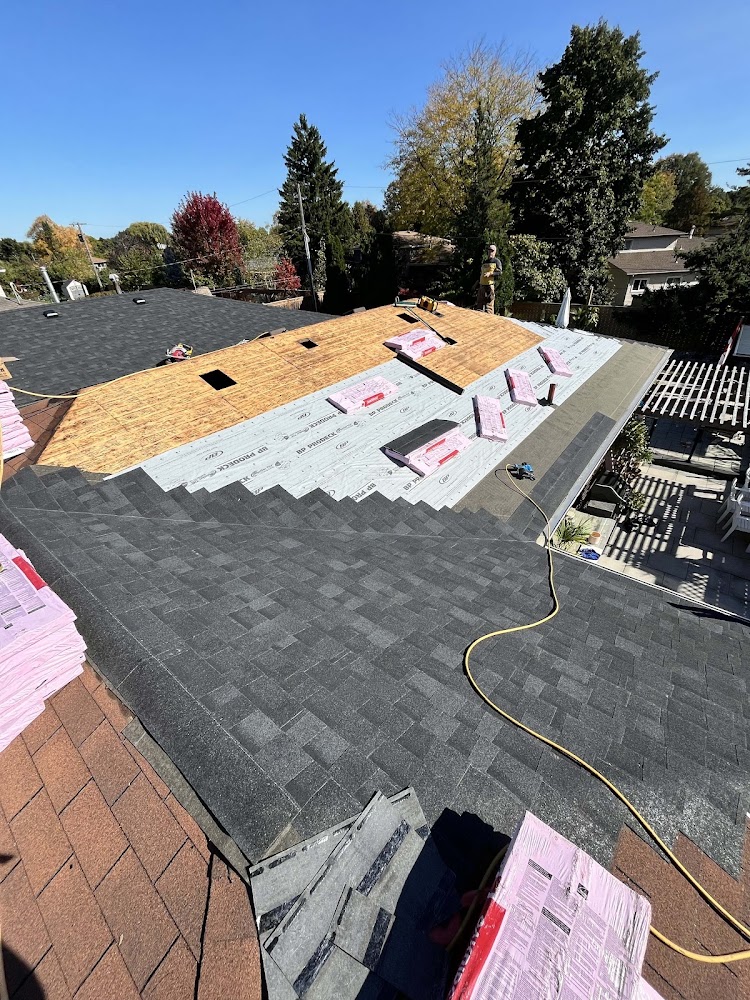 Maxim Bull Roofing
