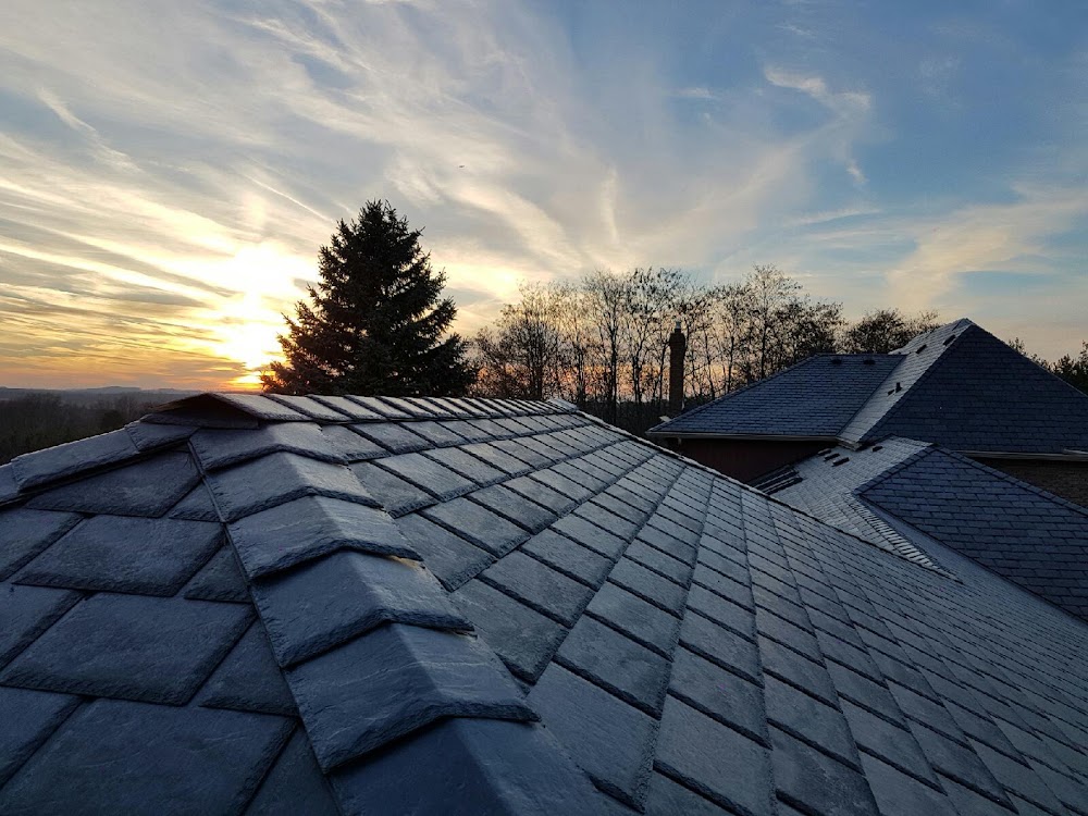 Forever Green Roofing Inc.