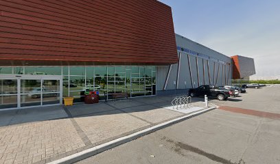 TRIUMPH ROOFING