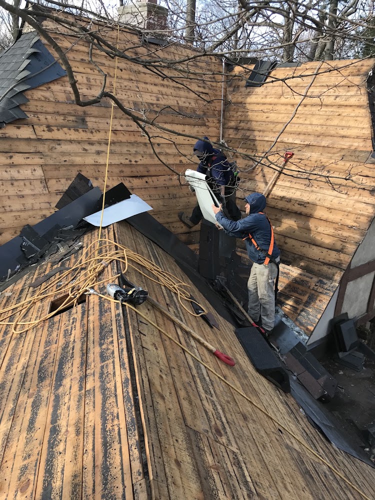 Serious Roofing