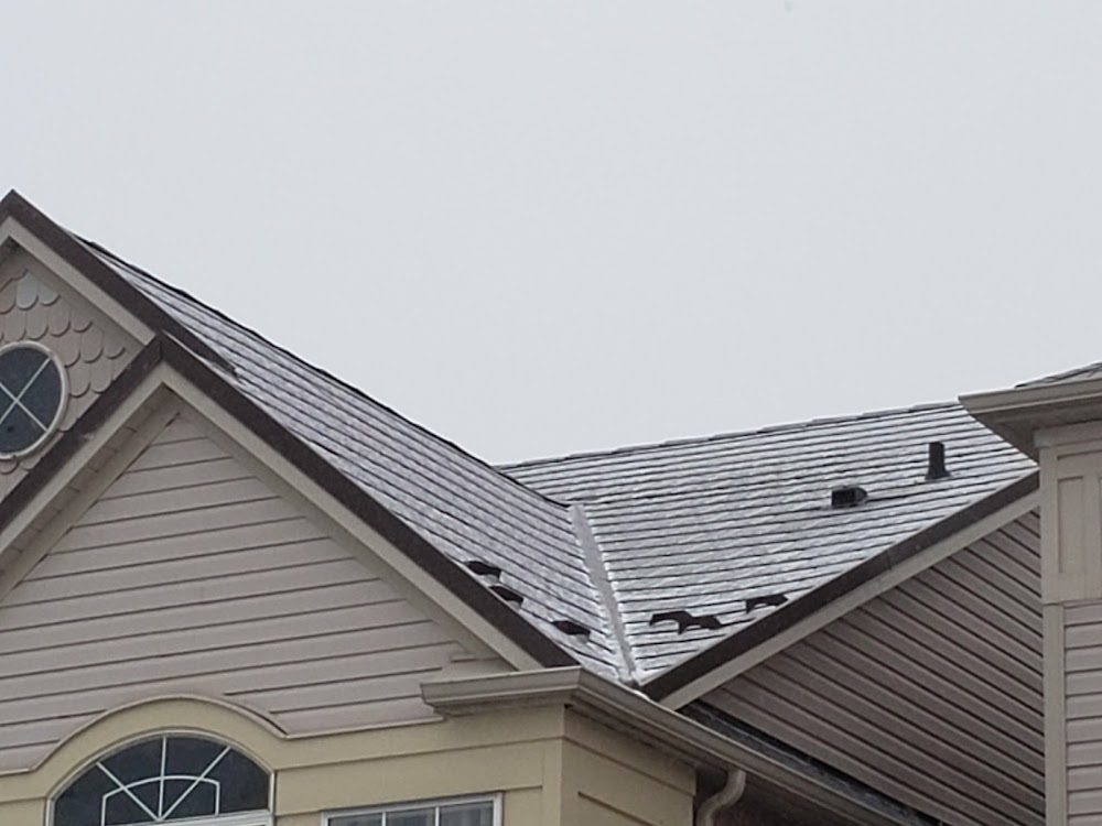 New Steel Roofers