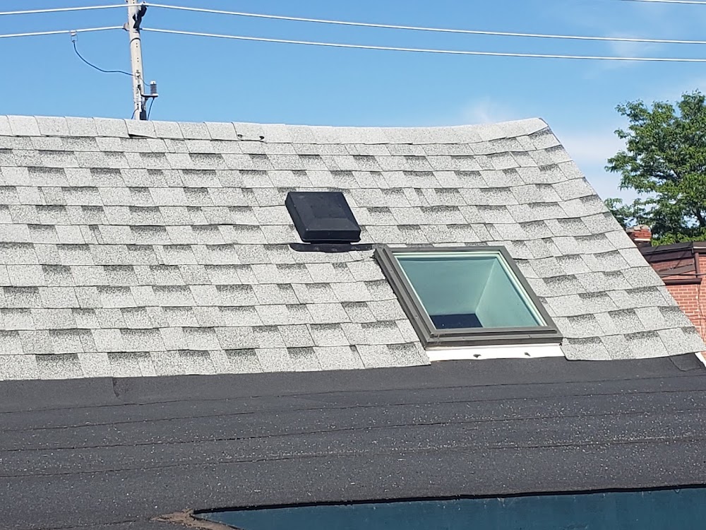 Bohemian Roofing