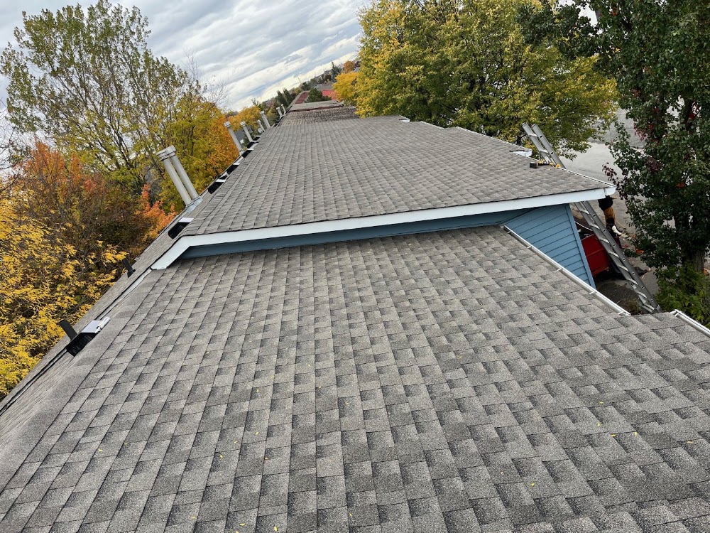 Sameday Roofing