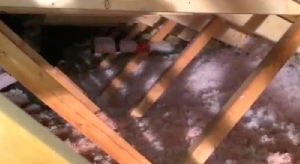 All Attic Restoration
