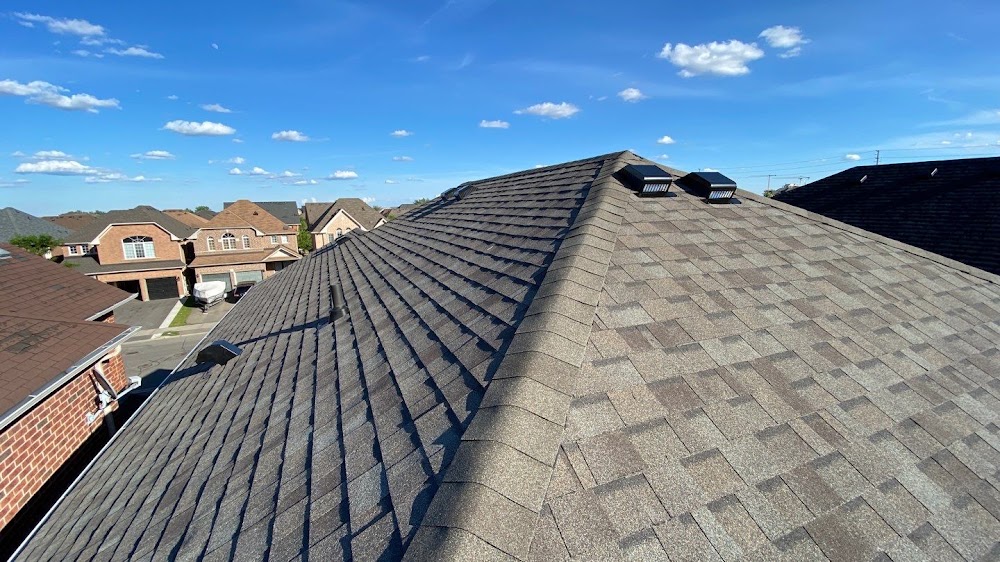 Real Blue Roofing Services Inc